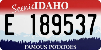 ID license plate E189537