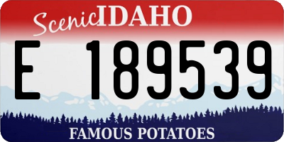 ID license plate E189539