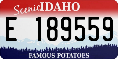 ID license plate E189559