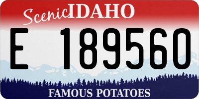 ID license plate E189560