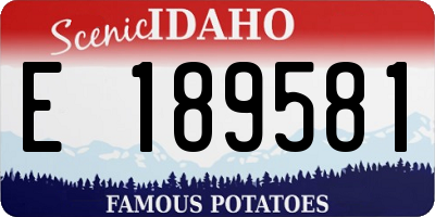 ID license plate E189581