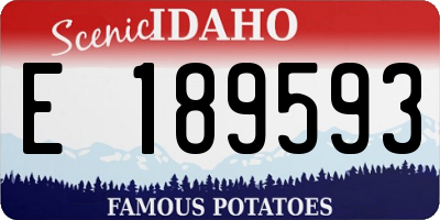 ID license plate E189593