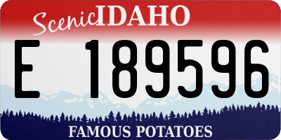 ID license plate E189596