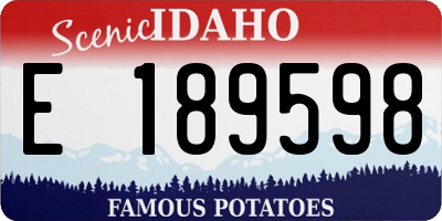 ID license plate E189598