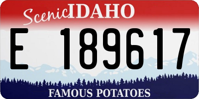 ID license plate E189617