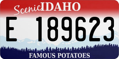 ID license plate E189623