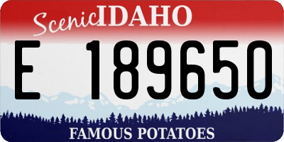 ID license plate E189650