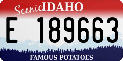 ID license plate E189663