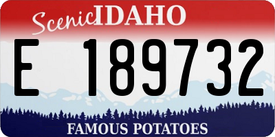 ID license plate E189732