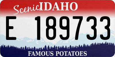 ID license plate E189733
