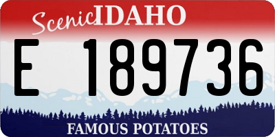 ID license plate E189736