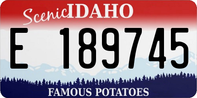 ID license plate E189745