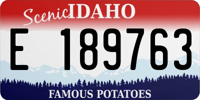ID license plate E189763