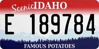 ID license plate E189784