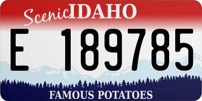 ID license plate E189785