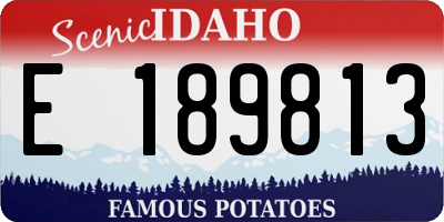 ID license plate E189813