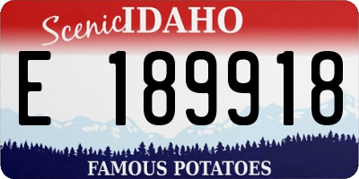 ID license plate E189918