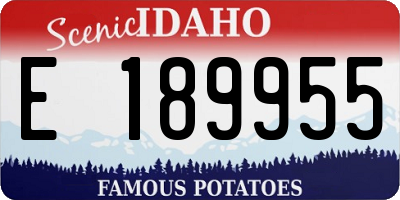 ID license plate E189955