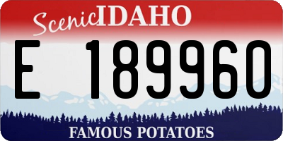 ID license plate E189960