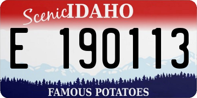 ID license plate E190113
