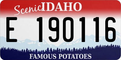 ID license plate E190116