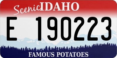 ID license plate E190223