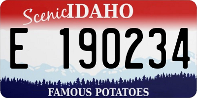 ID license plate E190234