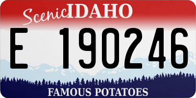ID license plate E190246