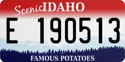 ID license plate E190513