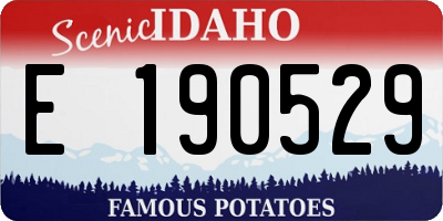ID license plate E190529