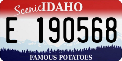 ID license plate E190568