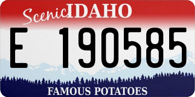 ID license plate E190585