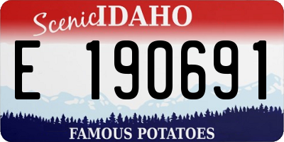 ID license plate E190691