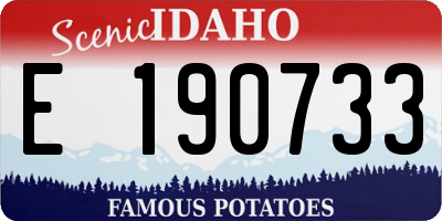 ID license plate E190733