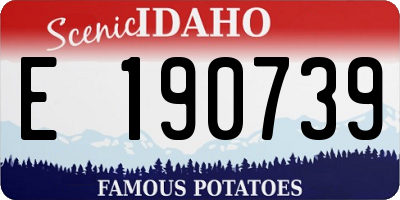 ID license plate E190739