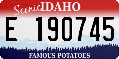 ID license plate E190745