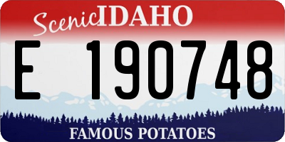 ID license plate E190748
