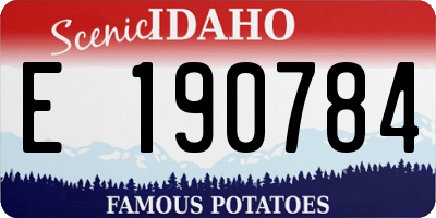 ID license plate E190784