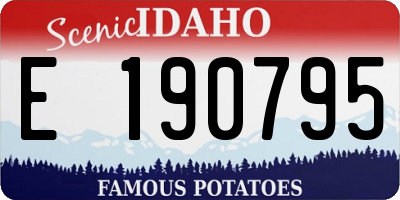 ID license plate E190795