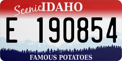 ID license plate E190854