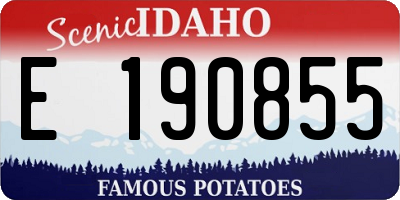 ID license plate E190855