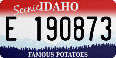 ID license plate E190873