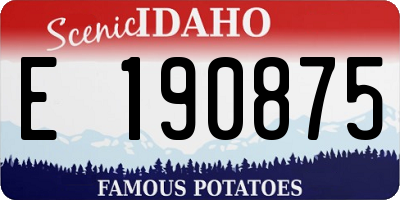 ID license plate E190875