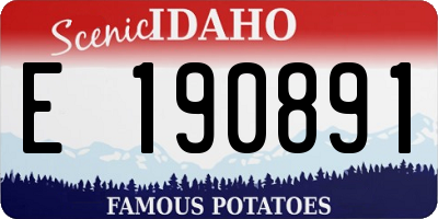 ID license plate E190891