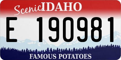 ID license plate E190981
