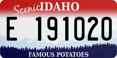 ID license plate E191020