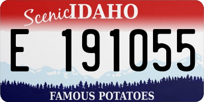 ID license plate E191055