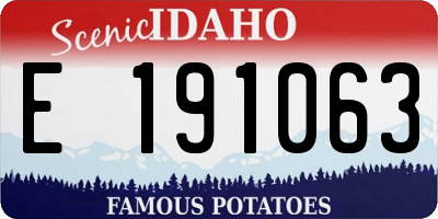 ID license plate E191063