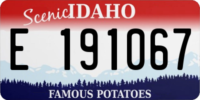ID license plate E191067