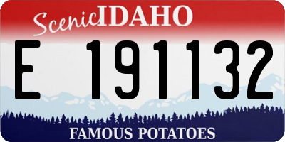 ID license plate E191132